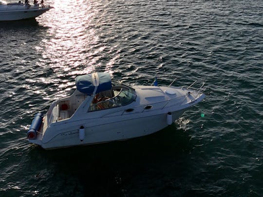 Visite de la ville de Miami en yacht privé Monterey de 31 pieds, vue magnifique sur la rivière, sans frais supplémentaires.