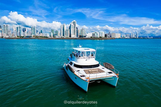 Catamarán powercat 50