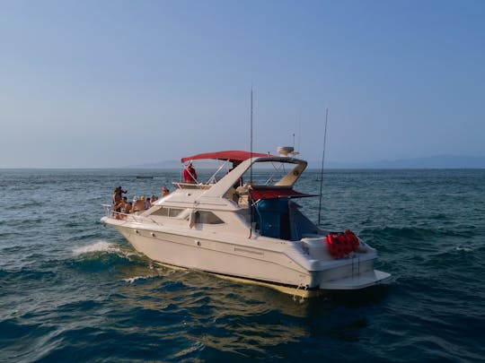BAR.CO | Hermoso yate SeaRay de 44 pies para aquellos que buscan diversión y aventura.