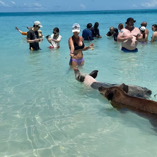 Nassau: Swimming Pigs, Snorkeling, Island Hopping, Private Boat Tour