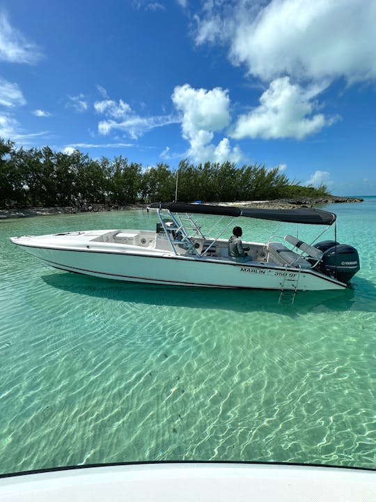 Marlin de 35 pés para alugar em Nassau