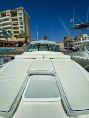 'Oasis' Bertram 42ft Yacht & Sportfishing Charter for 12 pax