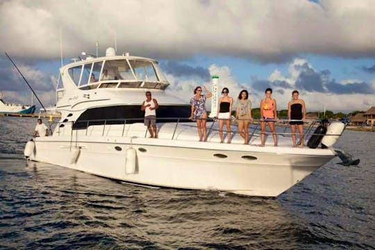 Sea Ray 60 footer Cozumel. with food and drinks!