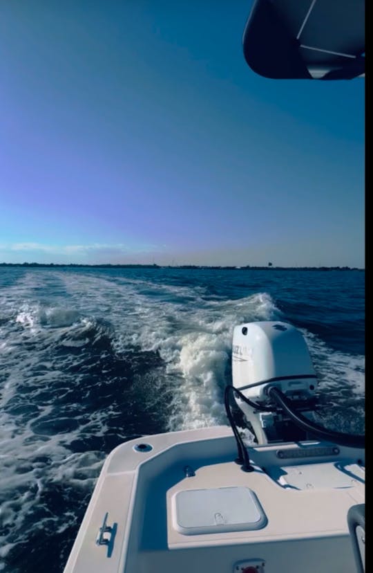 Alquiler de botes en St. Pete y Anna Maria: pesca y diversión familiar