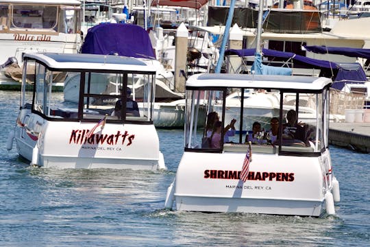 Cruise through the Historic Marina del Rey Harbor in new e-boat 