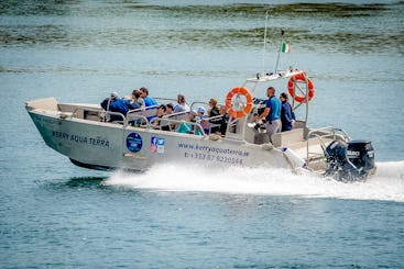 Passeios de barco pela Ilha Valentia | Passeios de barco em Skellig Michael | Wildlife Eco Cruises