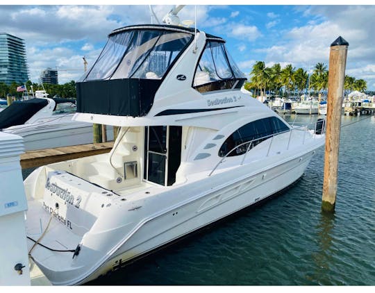 Beautiful 45ft Searay Yacht for Charter! 4 years Best Of Getmyboat!