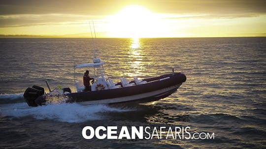 Charter 33' Zodiac Hurricane 920 com 600 HP em Monterey, CA!