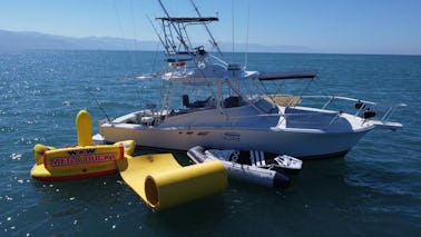 Funboat : plongée avec tuba, tubing, baleines et dauphins, pêche, Los Arcos, plages du sud