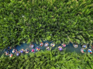 Aventura fluvial en Hội An: desde el río Hoài hasta el bosque de palmeras de Nipa