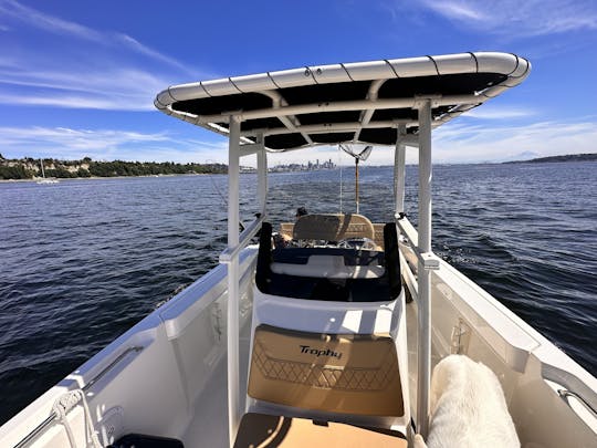 Bateau de pêche à console centrale