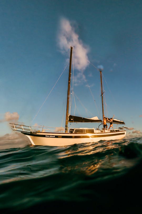 Vintage Sailing Yacht in Honolulu! Private Luxury Sail + Swim Tours