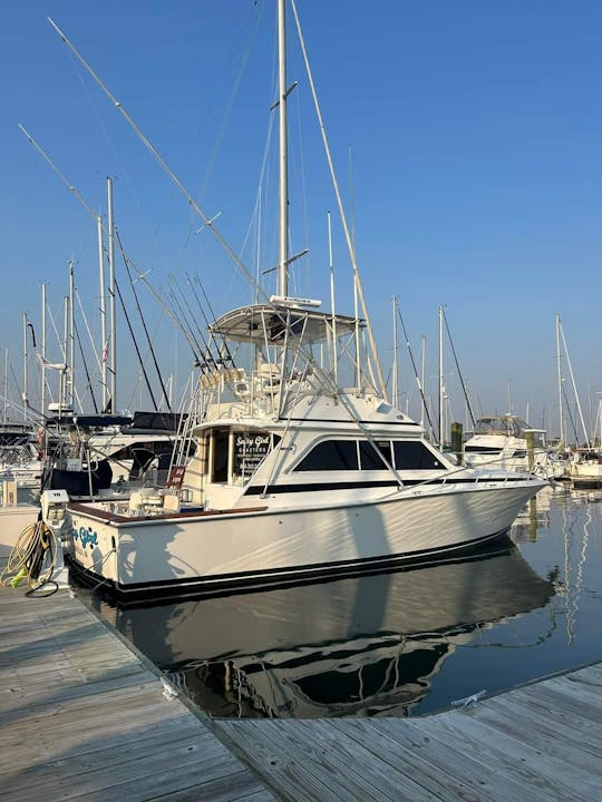 Le rêve d'un pêcheur : Dawson Sportfish de 38 pieds à Norfolk, en Virginie ! 