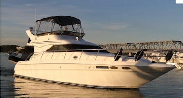 Yacht de luxe Sea Ray de 50 pieds sur le Potomac. Découvrez le luxe !