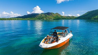 Visite a Ilha Curieuse com churrasco e mergulho com snorkel na Ilha St Pierre.