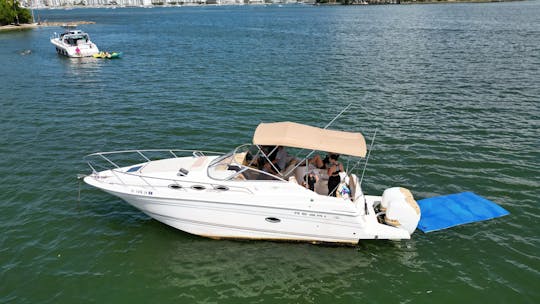 Yacht de croisière Regal Commodore Miami de 32 pieds : naviguez avec style