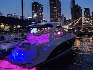 33' Luxury Power Yacht – Party Friendly w/Sound System
