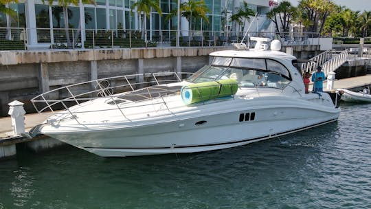 SeaRay 50ft 🛥 Du lundi au jeudi, une heure GRATUITE