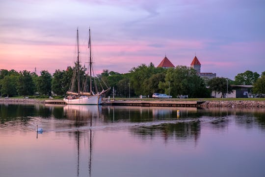 Serviço histórico de 98' Schooner Hoppet 1926 com tudo incluído nas Ilhas do Mar Báltico