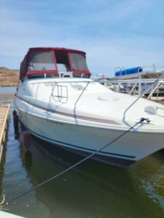 Mainship 36 Double Cabin Boat for Rental