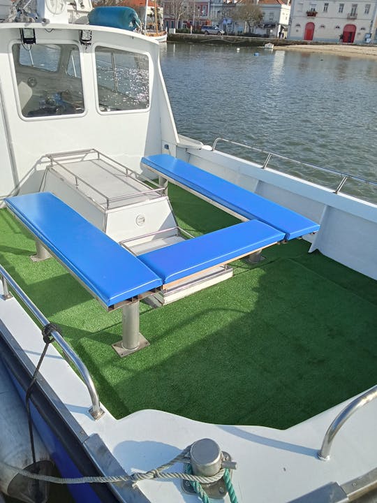 33ft speedboat in Lisbon for tours, parties and events