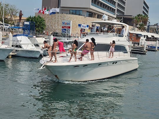 Sea Ray à louer à Cabo San Lucas - 19 personnes autorisées