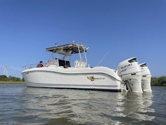 Galveston Fishing, Dolphin Watching or Party Cove | 26ft World Cat