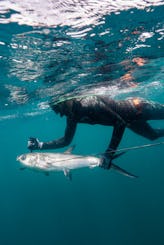 Flamingo Bay: Spearfishing Reef Charter