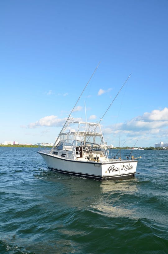 Charter de pêche de 31 pieds à Cancún, Quintana Roo