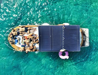 Gozzo en vtr m.8,20 pour 12 personnes avec skipper par gîte à la marina de Castro.