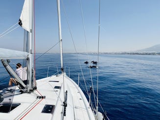 unique daily sailing experience tailored to your desires