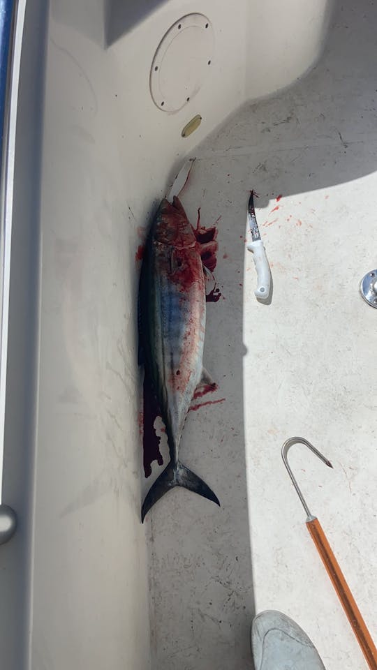 22ft Cobia Center Console in San Pedro