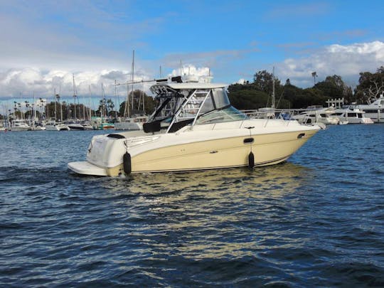 Luxury Fishing, Cruising, Diving Yacht- Catalina- Malibu- $290/hr Special intro