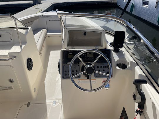 Dorado Scout Bowrider Boat in Tampa Bay (Ruskin)