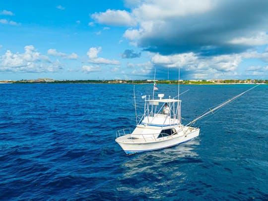 Barco de pesca Blackfin de 32 pés para a pesca mais divertida na Riviera Maya