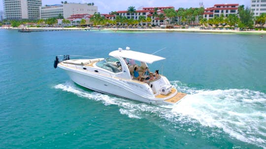 Perfect Sea Ray 31 Footer In Cancun Hotel Zone 