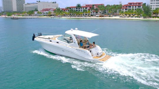 Perfect Sea Ray 31 Footer In Cancun Hotel Zone 