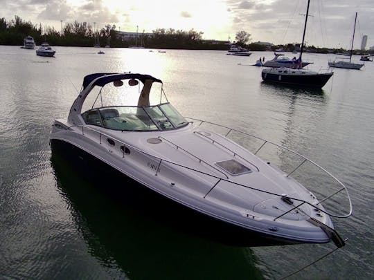 Yacht à moteur Sea Ray de luxe de 32 pieds