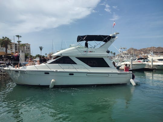 Yacht privé Bayliner de 42 pieds 15Px