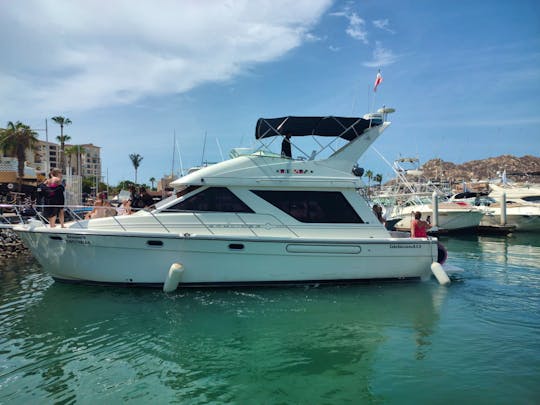 Bayliner 42ft Private Yacht 15Px
