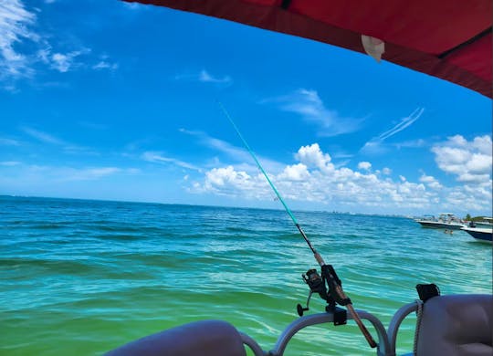 Pontoon Suntracker Party Barge DLX de 22 pés para 10 pessoas em Bay Pines. Gás incluído!