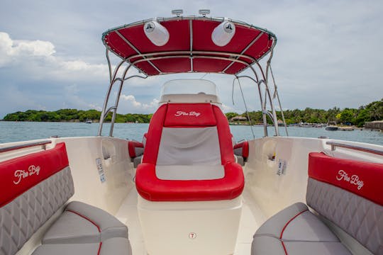 Speedboat 29ft in Cartagena Colombia