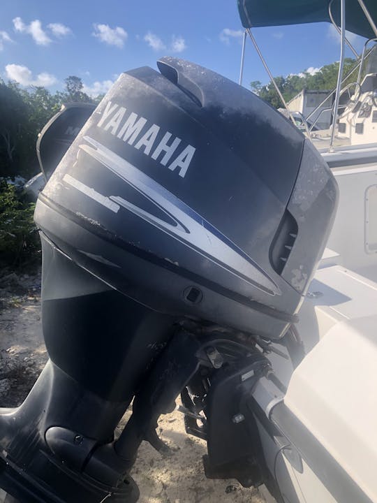 Faites de la plongée sous-marine, de la plongée avec tuba ou du tourisme à Exuma sur une console Quest Center de 20 pieds 