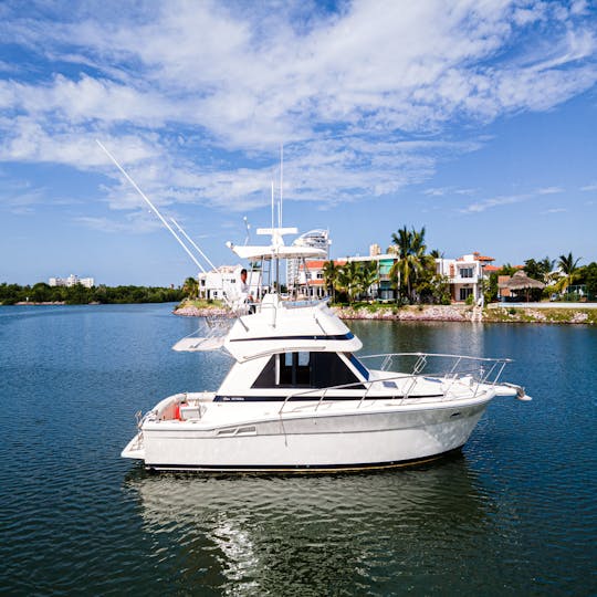 Croisière en yacht de 36 pieds sur la Riviera et excursions de pêche sportive à Mazatlan