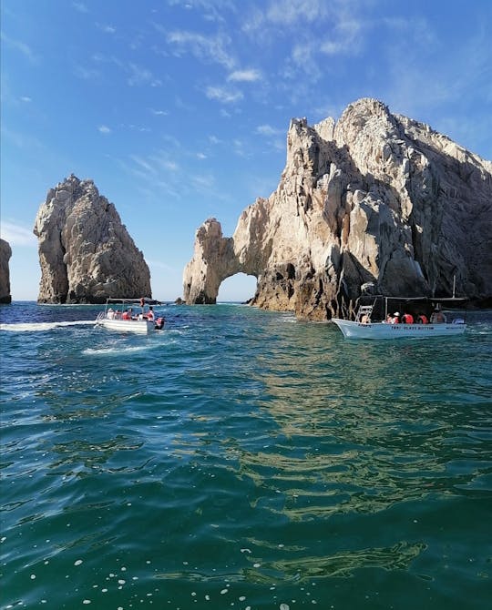 Fishing and Sashimi San José del Cabo 