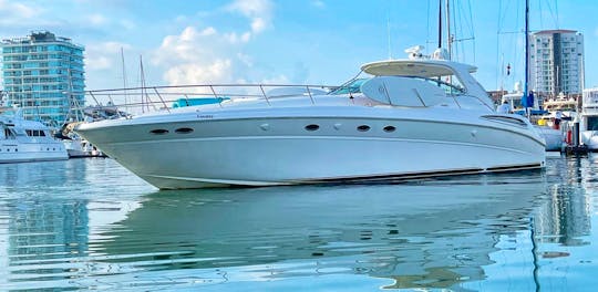 55Ft Sea Ray Sundancer for 20people 