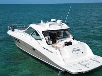 Endless yacht memories with Sea Ray 480 Sundancer Motor Yacht in Miami, Florida