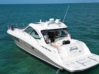 Des souvenirs de yacht infinis avec le yacht à moteur Sea Ray 480 Sundancer à Miami, en Floride