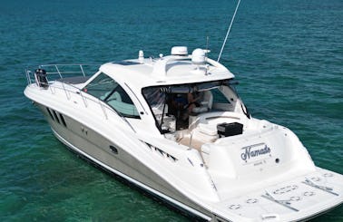 Endless yacht memories with Sea Ray 480 Sundancer Motor Yacht in Miami, Florida