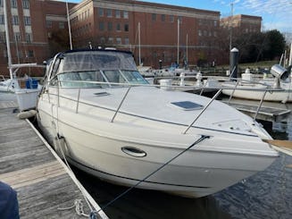 Cruise the Potomac On a Rinker 310